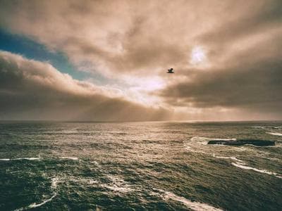 Indonesia Export Opportunities in 2026