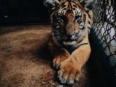 Southeast Asia Tourism Growth Post-Pandemic